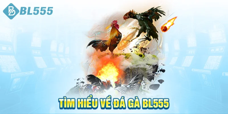 tim-hieu-ve-da-ga-bl555