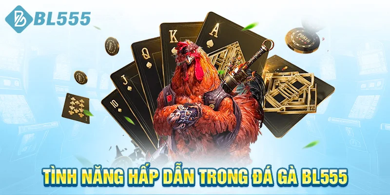 tinh-nang-hap-dan-trong-da-ga-bl555